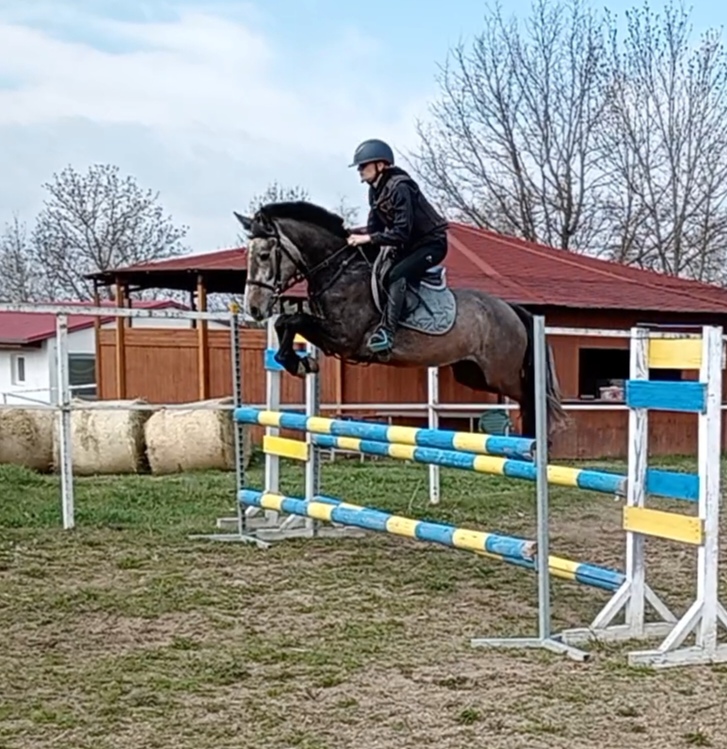valášek pony B pro náročné
