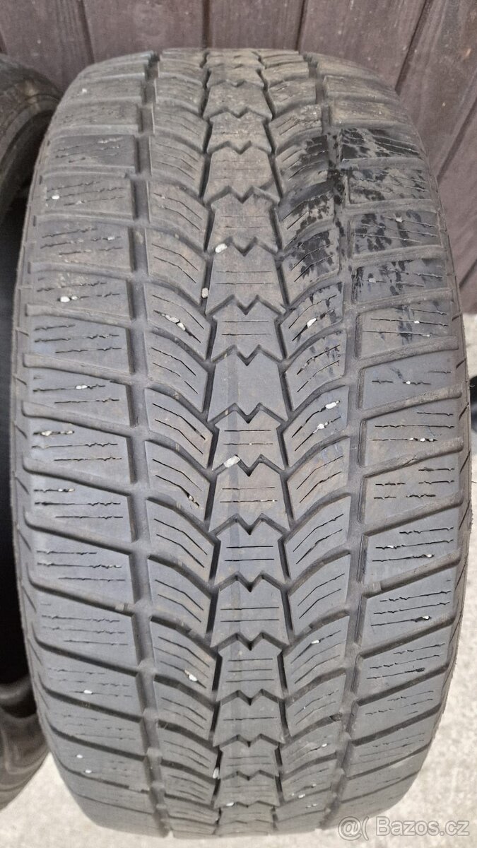 Zimní 225/50 R17