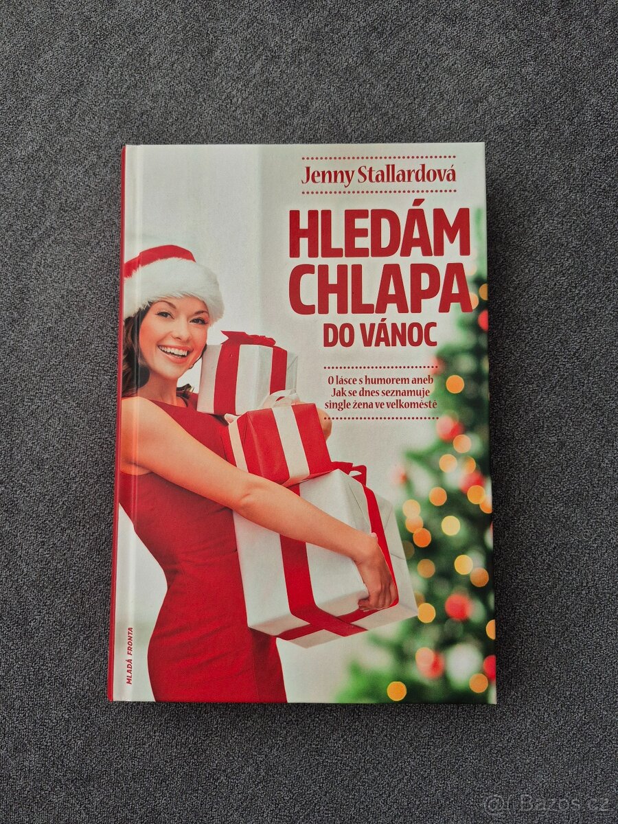 Hledám chlapa do Vánoc