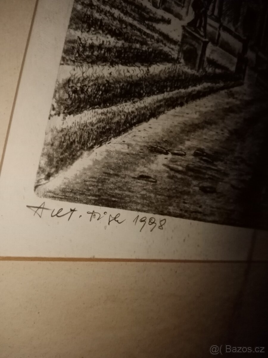 Pěkný obraz pro zberatele více fotek