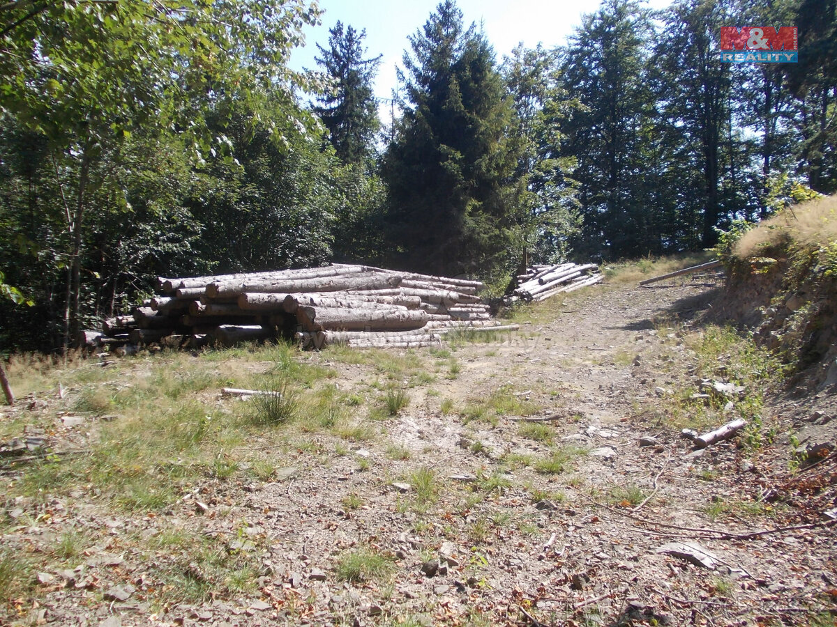 Prodej stavebního pozemku, 3955 m², Pstruží