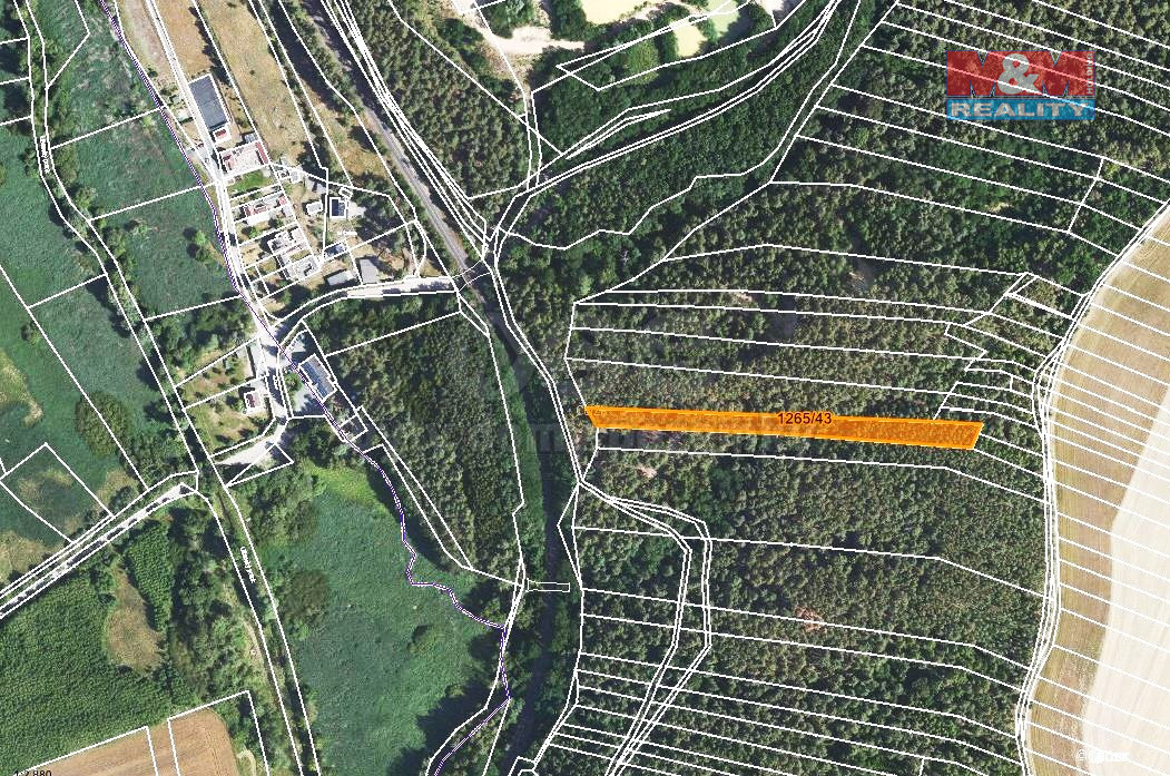 Prodej lesa, 3507 m², Lužná u Rakovníka