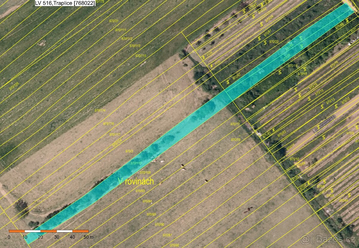 Vinice+pole CPP 2013 m² Traplice