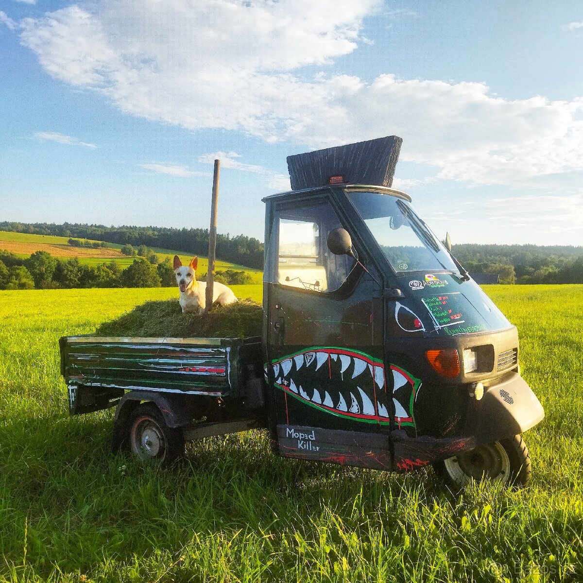 Piaggio Ape 50