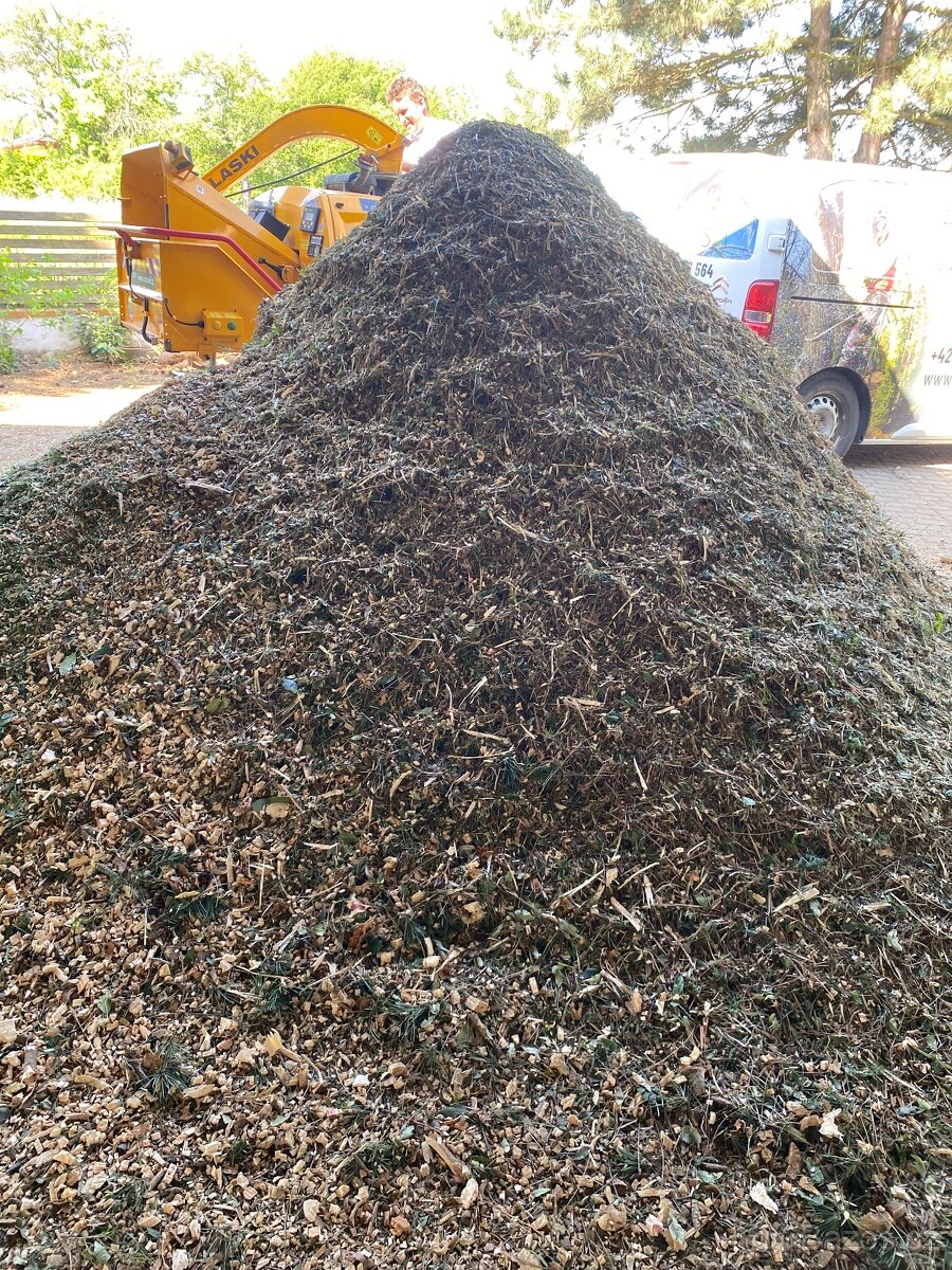 Štěpka