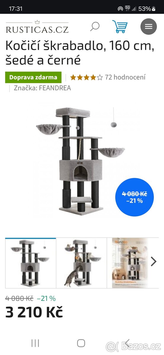 Britský kocour (3 měsíce)