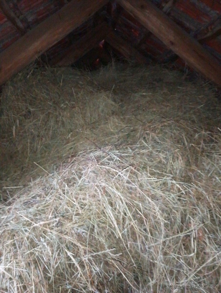 Prodám seno.