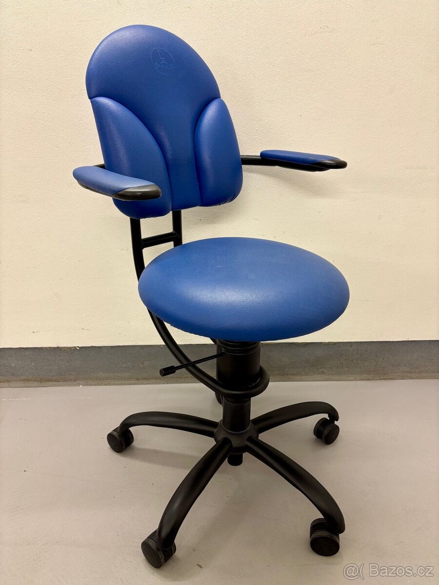 Kancelářská židle Spinalis Basic