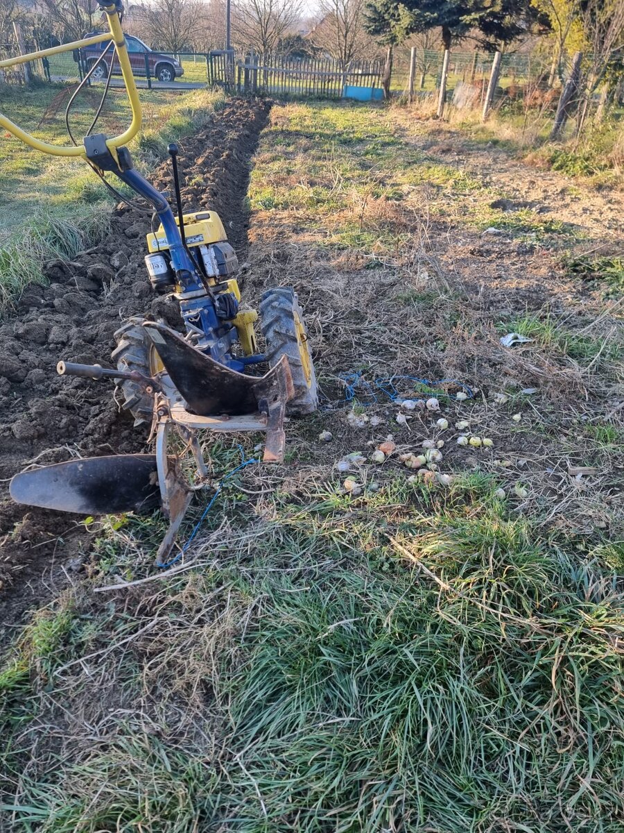 PRODÁM AGZAT