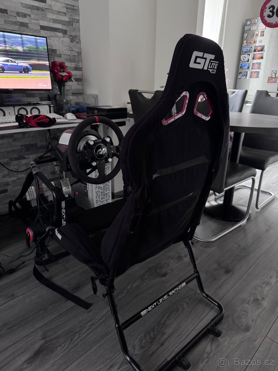 Thrustmaster TGT 2 + Next Level GT