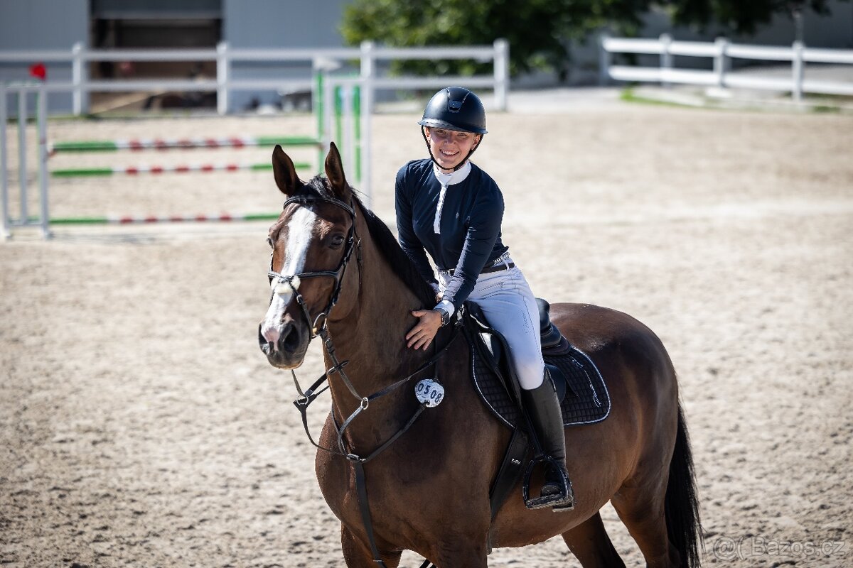 Klisna slovenského teplokrevníka