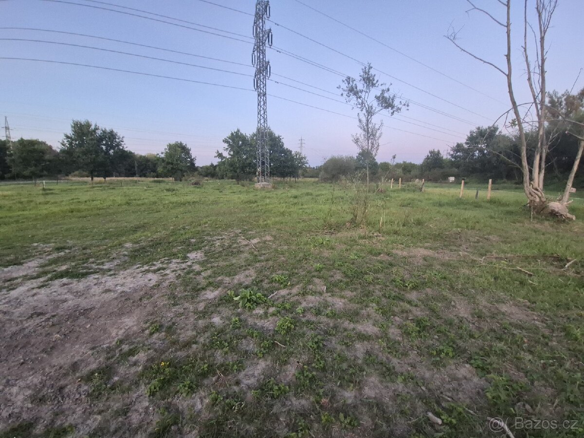 Pronajem pole pro kone scot ,ne prodej