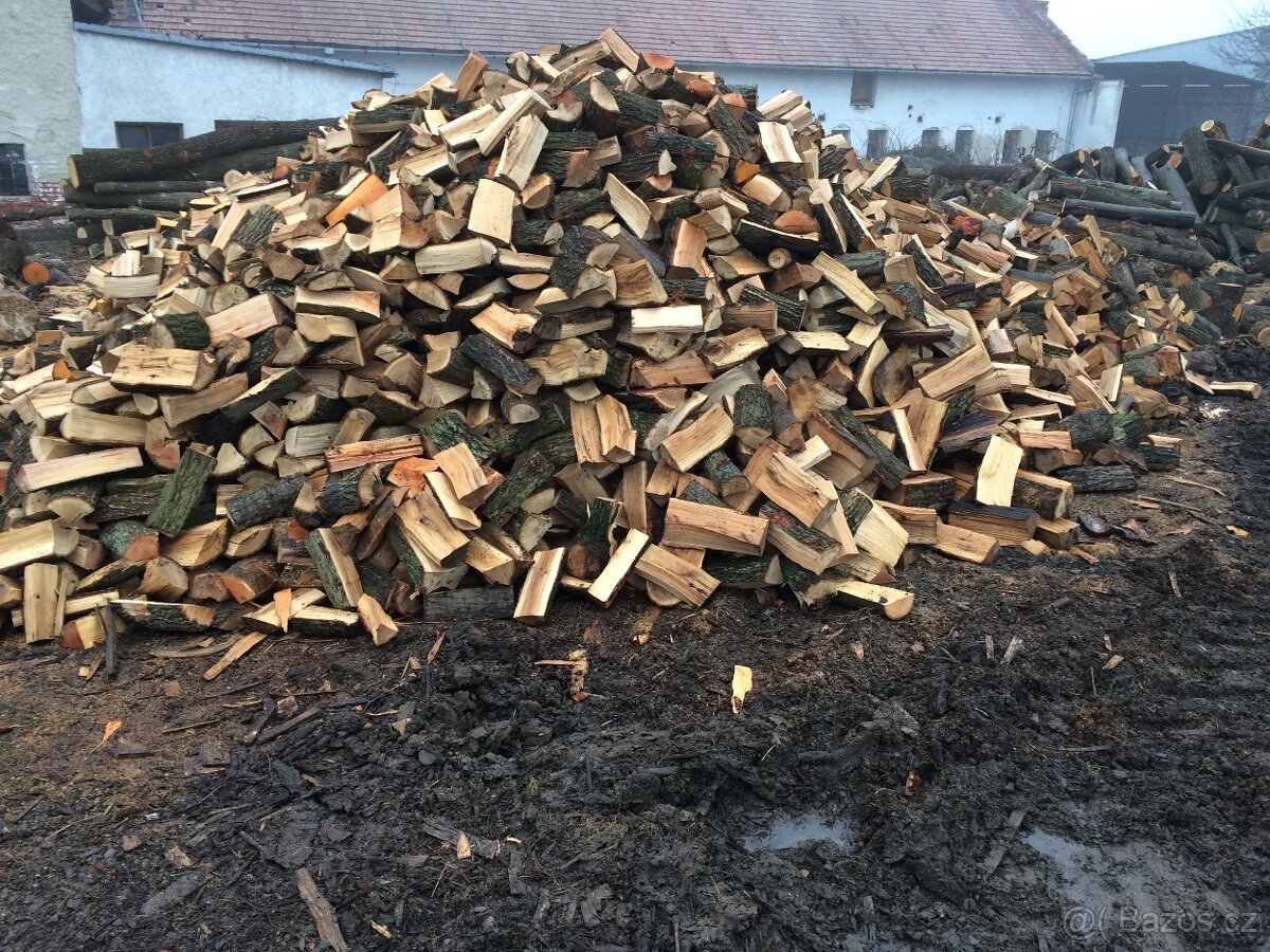 Palivove dřevo DVA ROKY STARÉ 33cm Akce