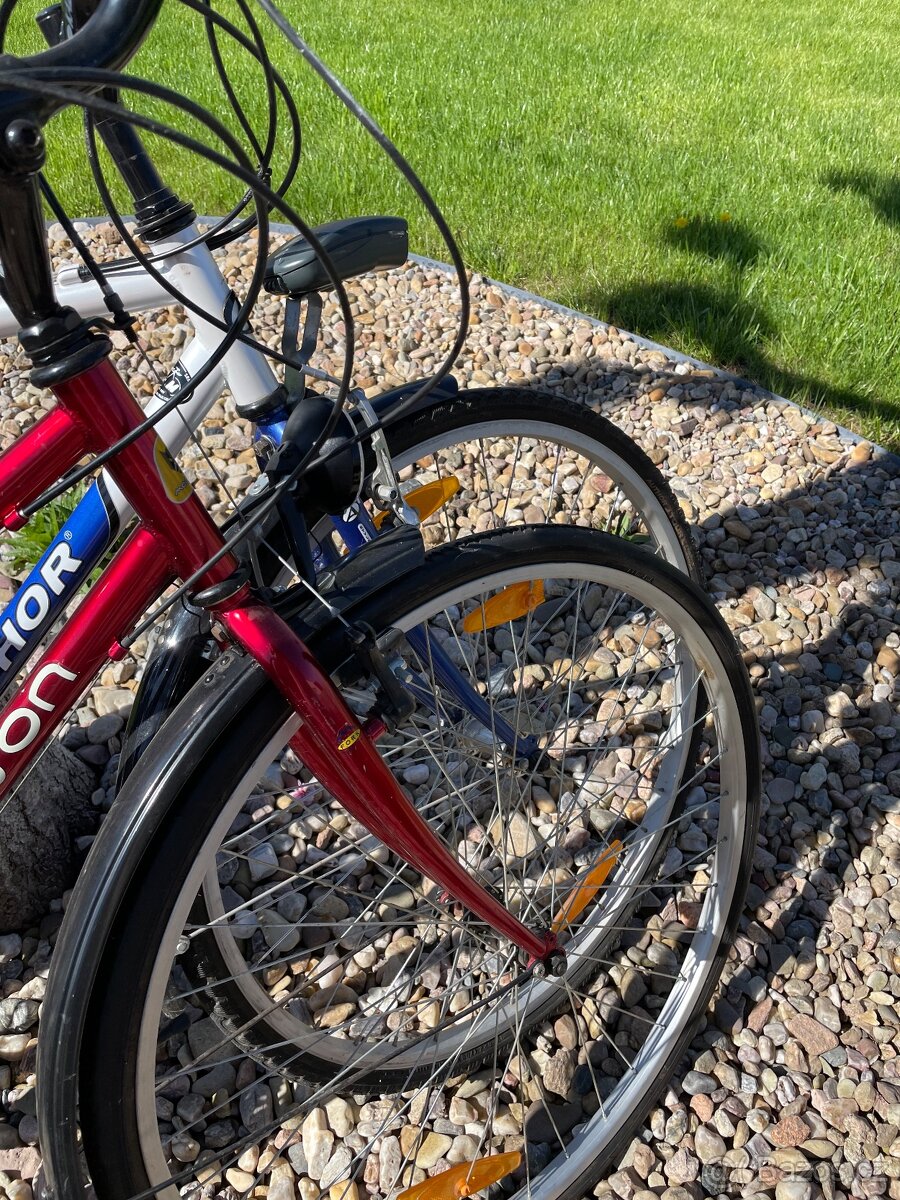 Kola