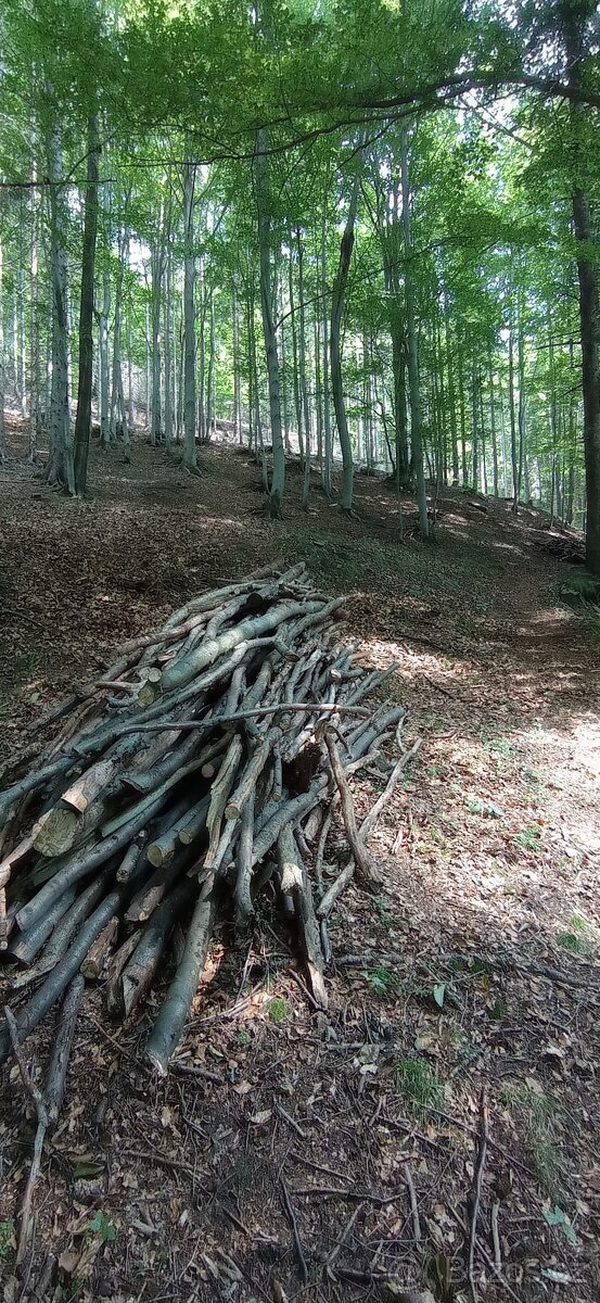 Palivové dřevo