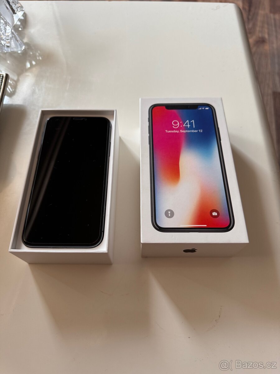 Apple X