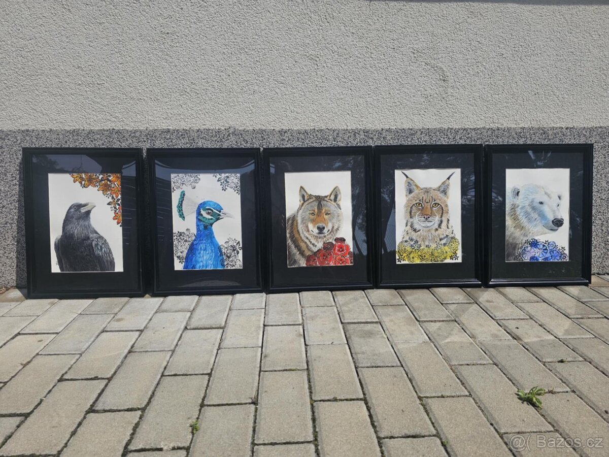 Obraz zvířat