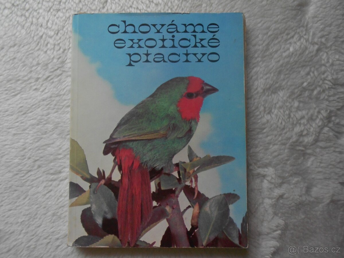 rybáři, zvířectvo, ptactvo, koně