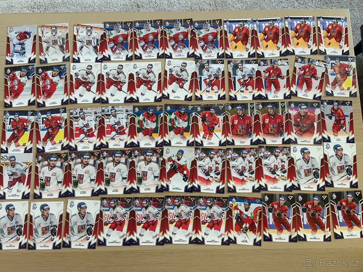 Hokejové Česko 2024 SportZoo 2024