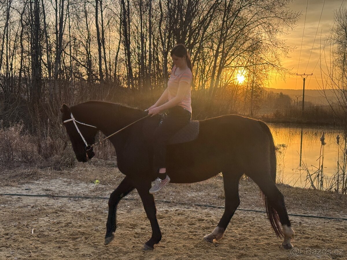 Kobyla ct po Lopéz 17