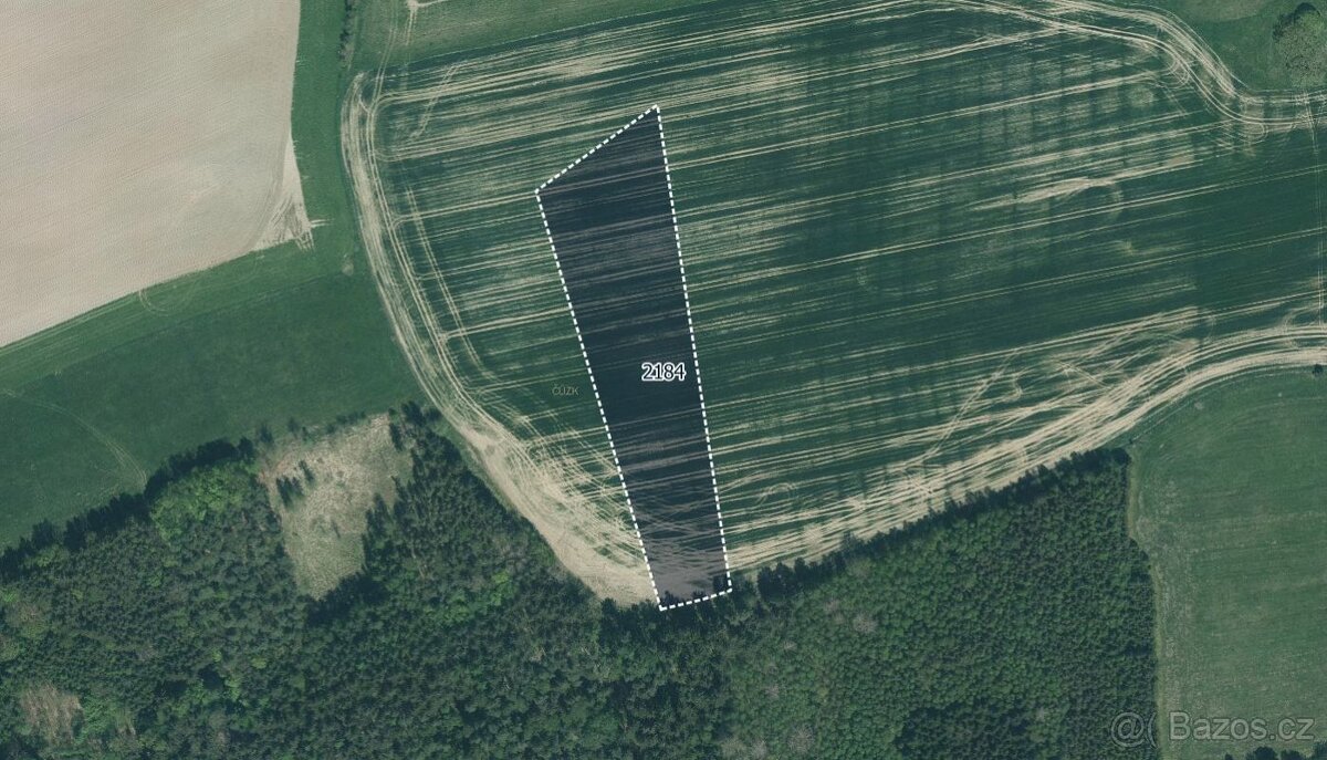 Zemědělská půda, prodej, Střížovice, Plzeň jih