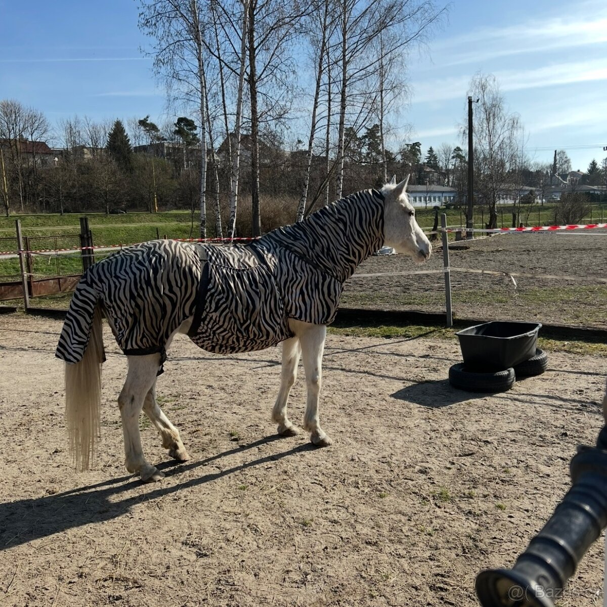 Deka proti hmyzu zebra