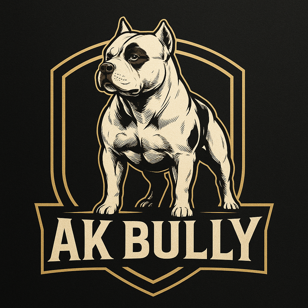 Štěňátka American Bully