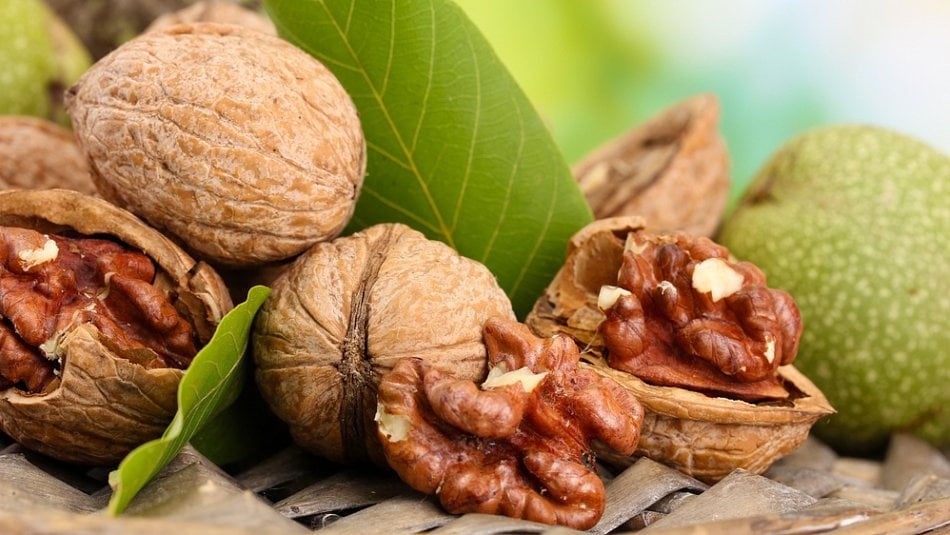 VLAŠSKÉ OŘECHY NELOUPANE PAPÍRÁKY