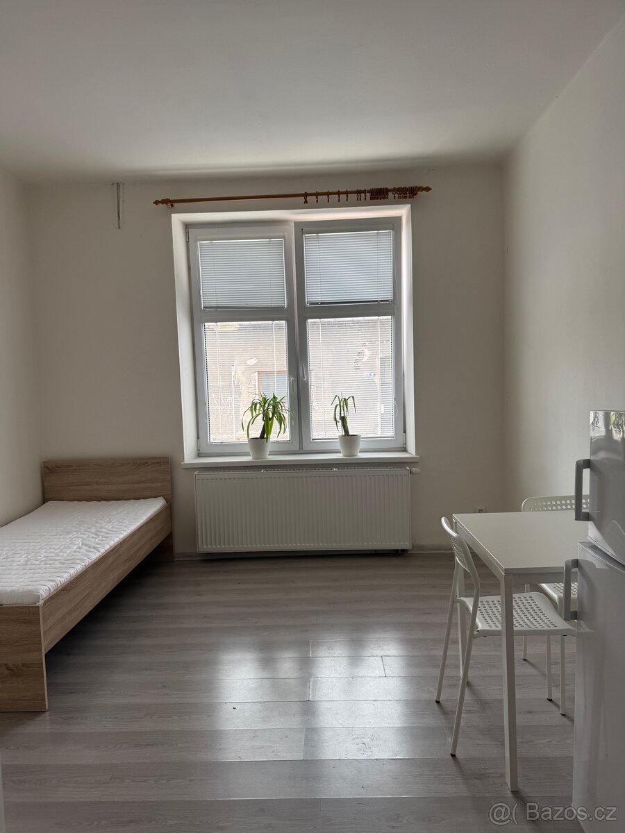 Pronajmu Garsonku v RD v České Třebové
