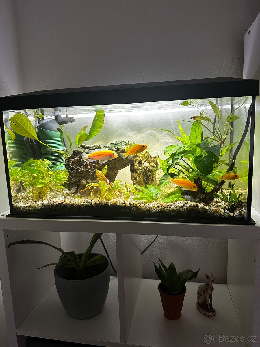 Akvarijni set komplet