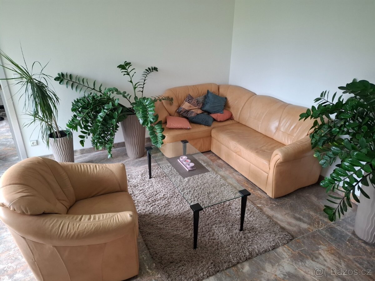 Kožená rozkládací sedačka