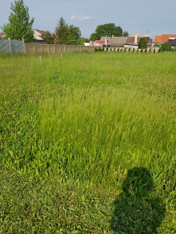 Čerstvá tráva i na sušení zdarma