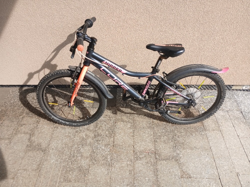 Dětské kolo 20