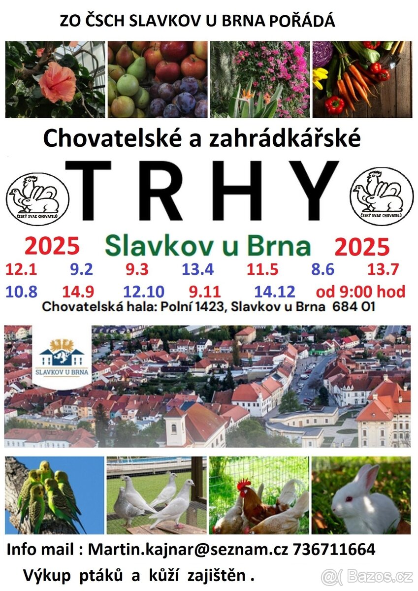 TRHY SLAVKOV U BRNA