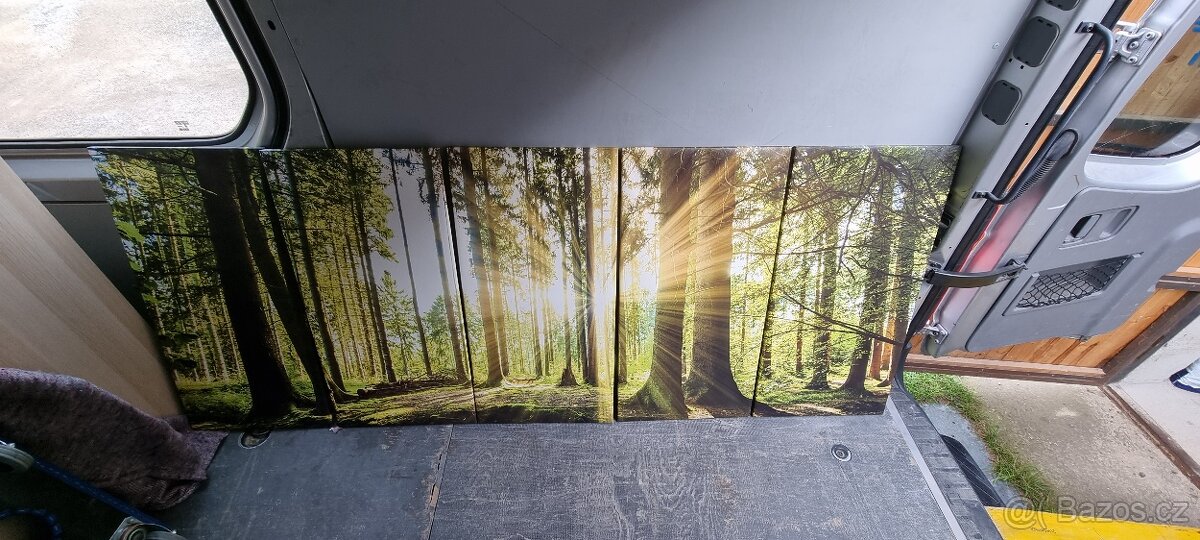 OBRAZY - různé druhy