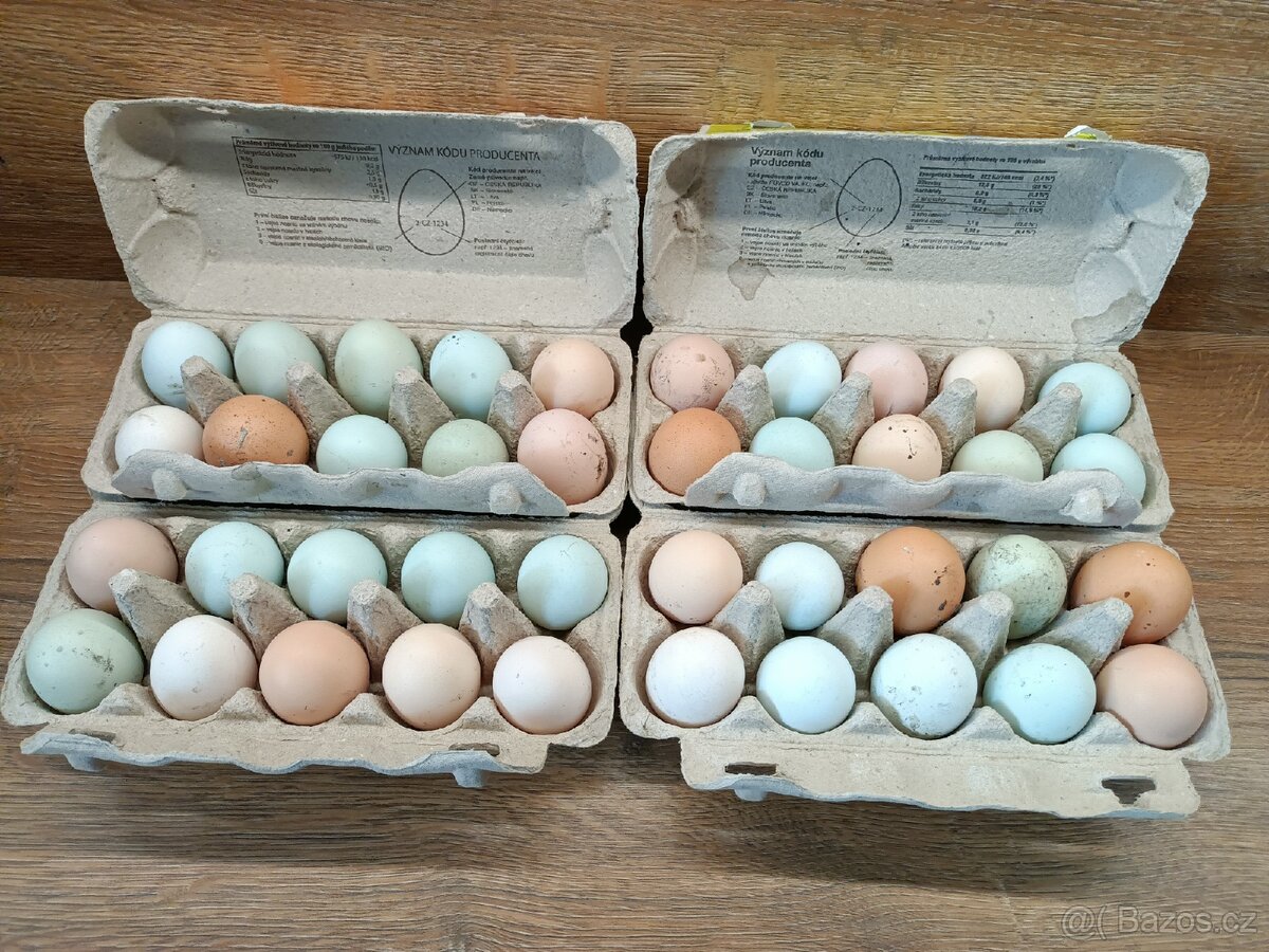 Domácí vajíčka