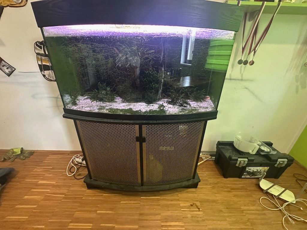 Akvarium