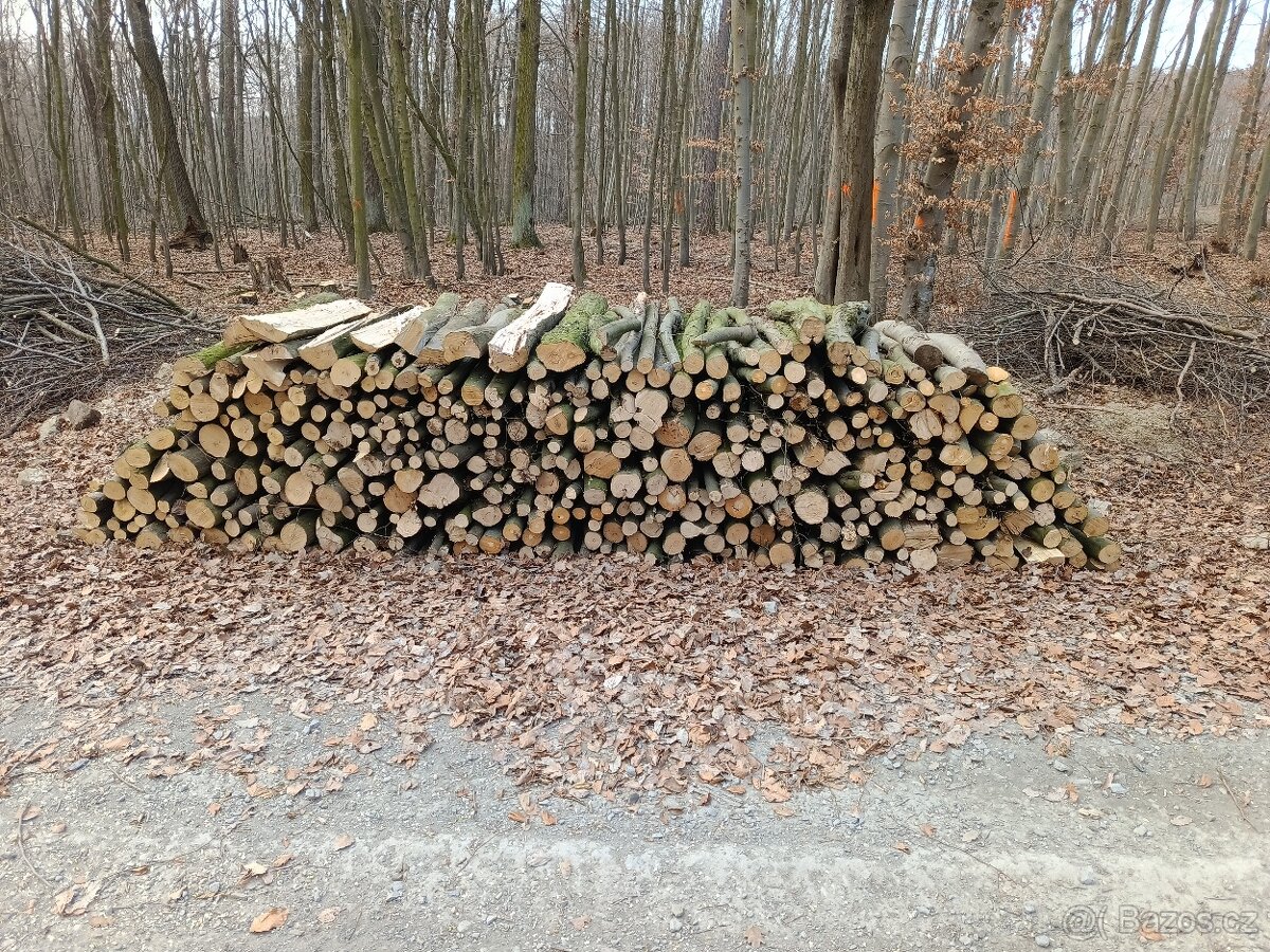 Tvrdé palivové dřevo