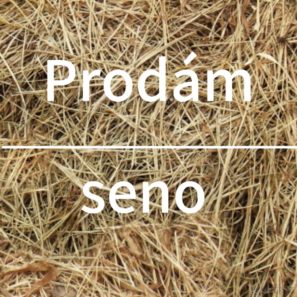 Seno