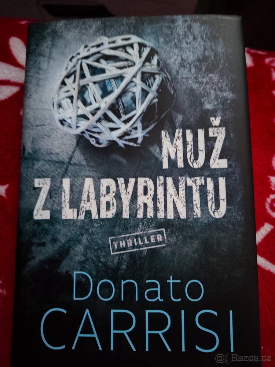 Muž z labyrintu