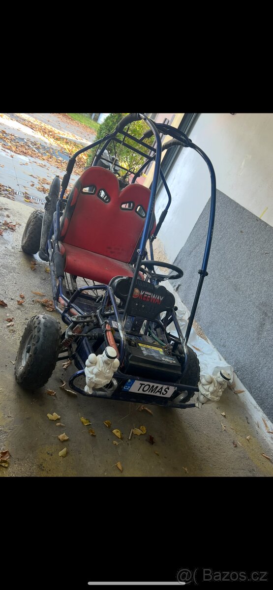 Buggy