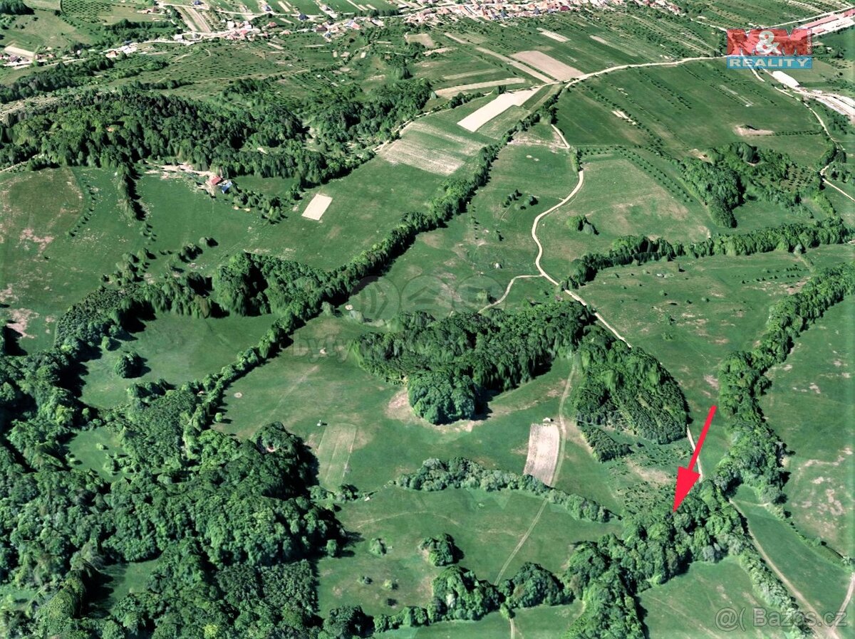 Prodej louky, 962 m², Nedašov