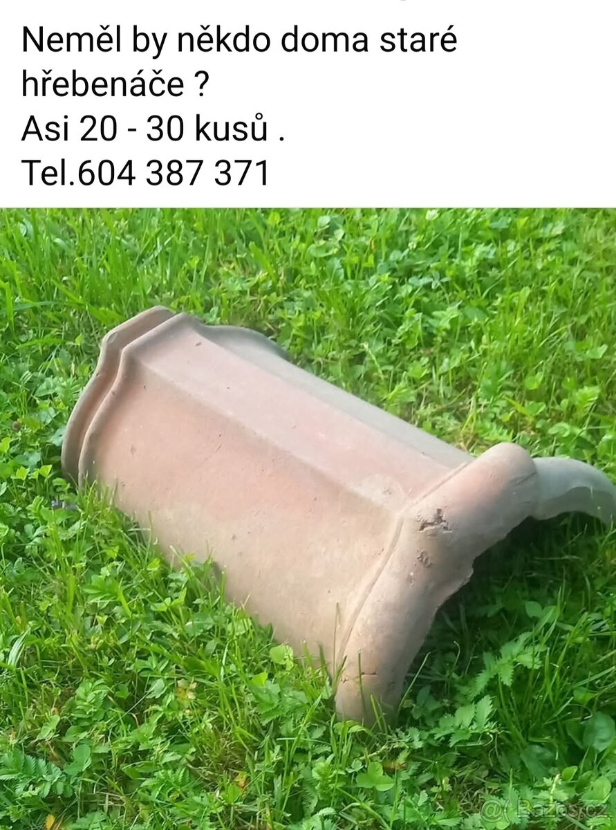 hřebenáče