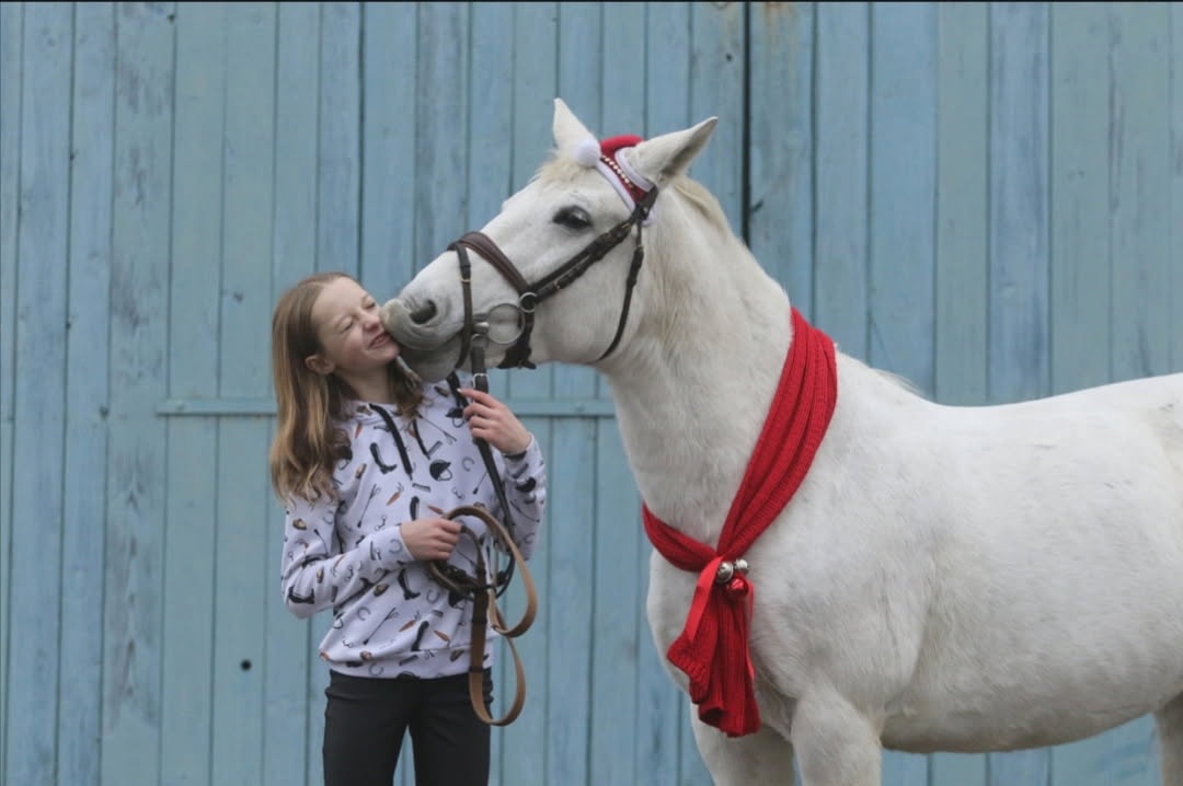 Pony kobylka 13let