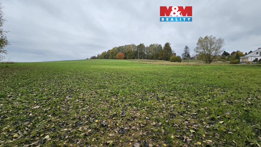 Prodej pozemků, 7881 m², Jedlí