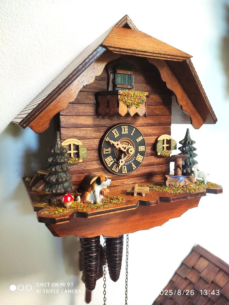 Hezke, kukacky, Schwarzwald