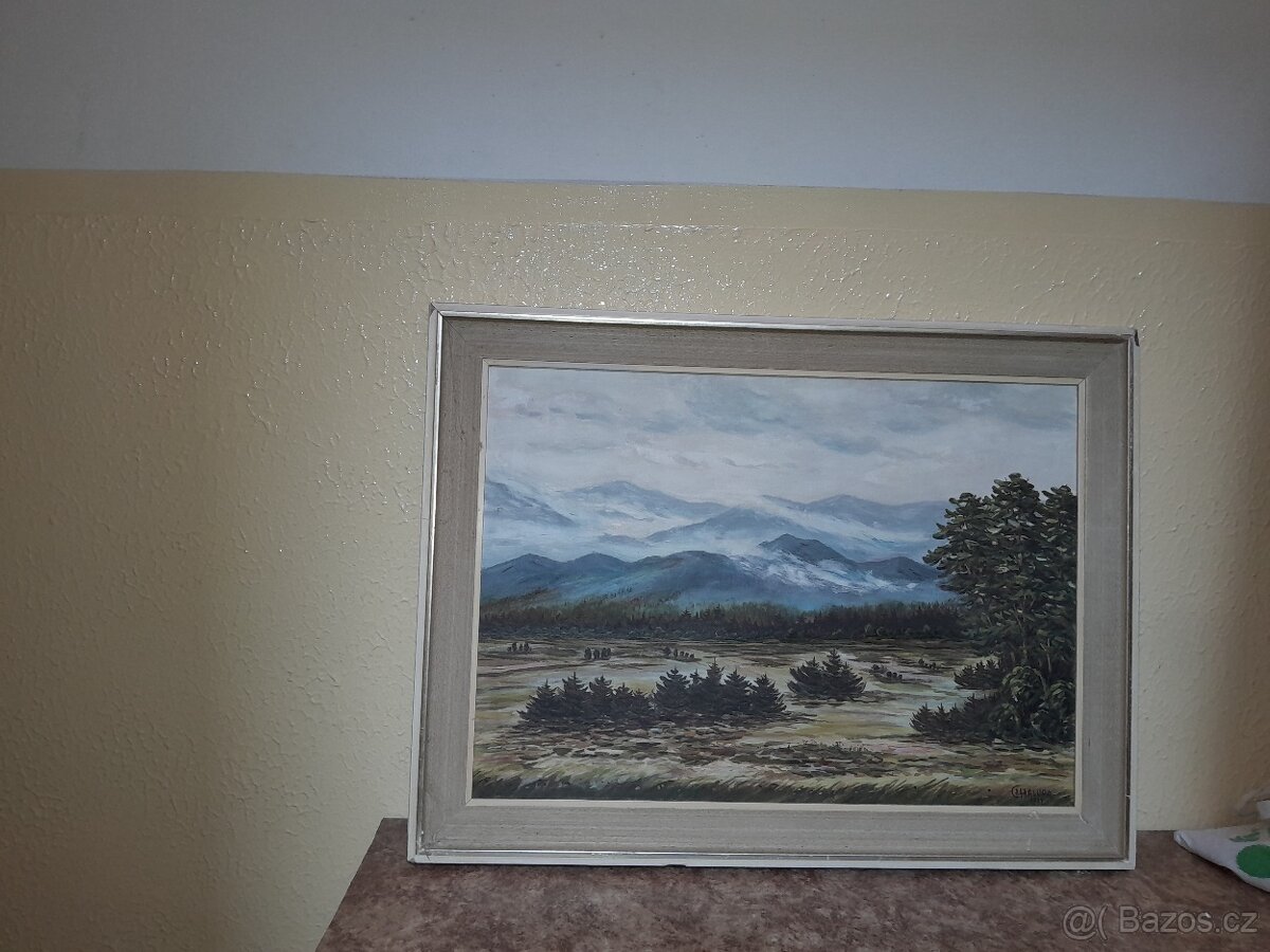 Obraz Nízká Fatra