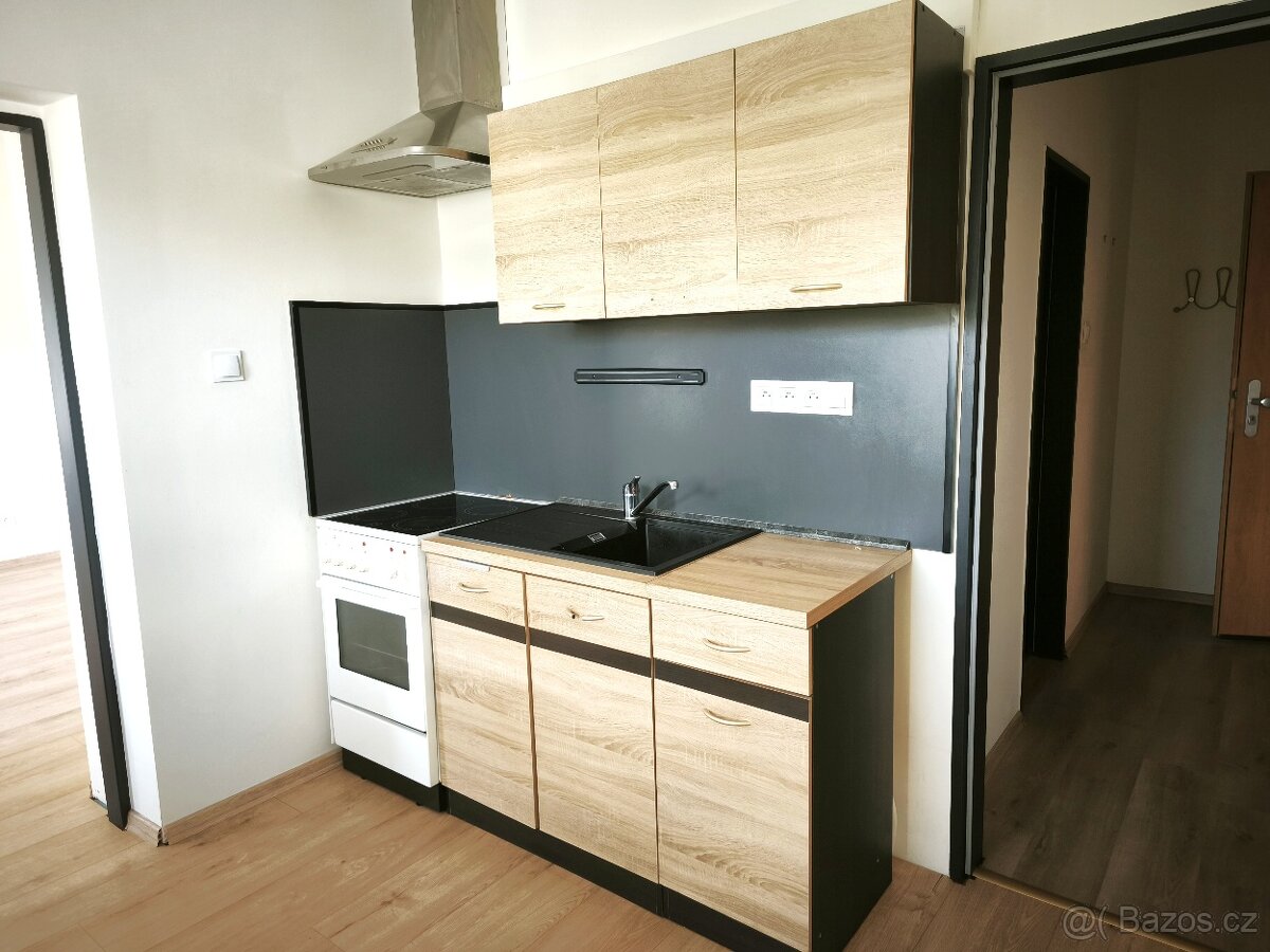 Pronájem bytu 1+1, ca36m2, s okny do zahrady, Chrastava