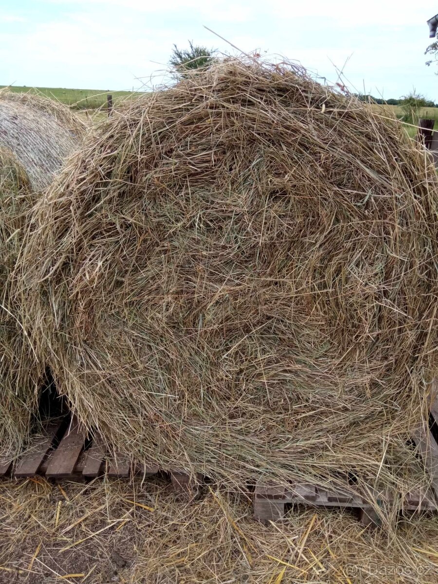 Seno kulaté balíky