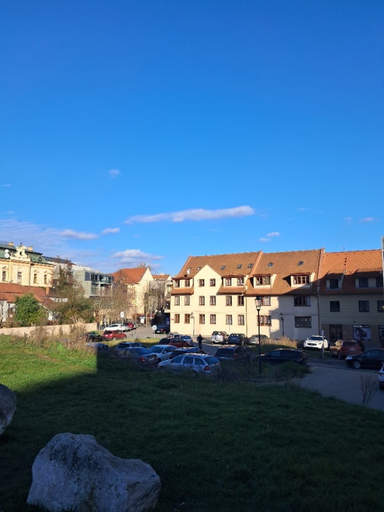 Nabízím k pronájmu